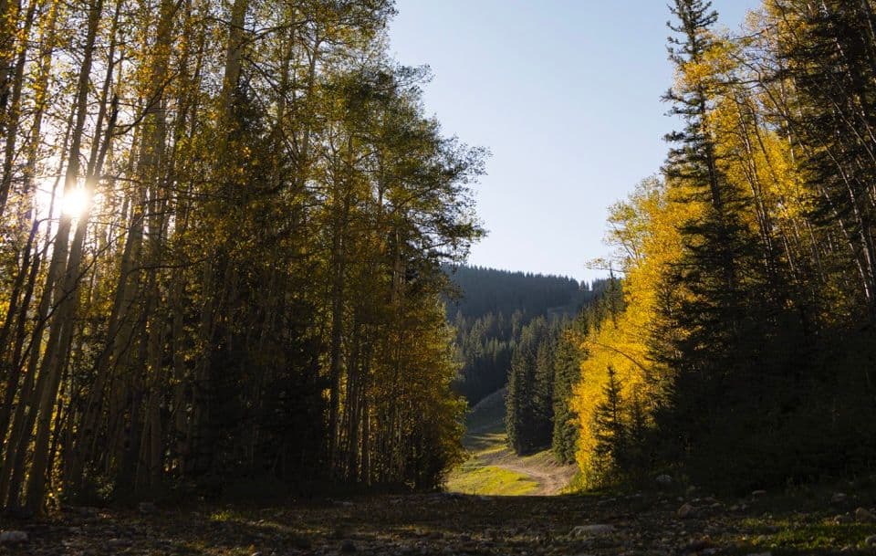 Fall mountain scene